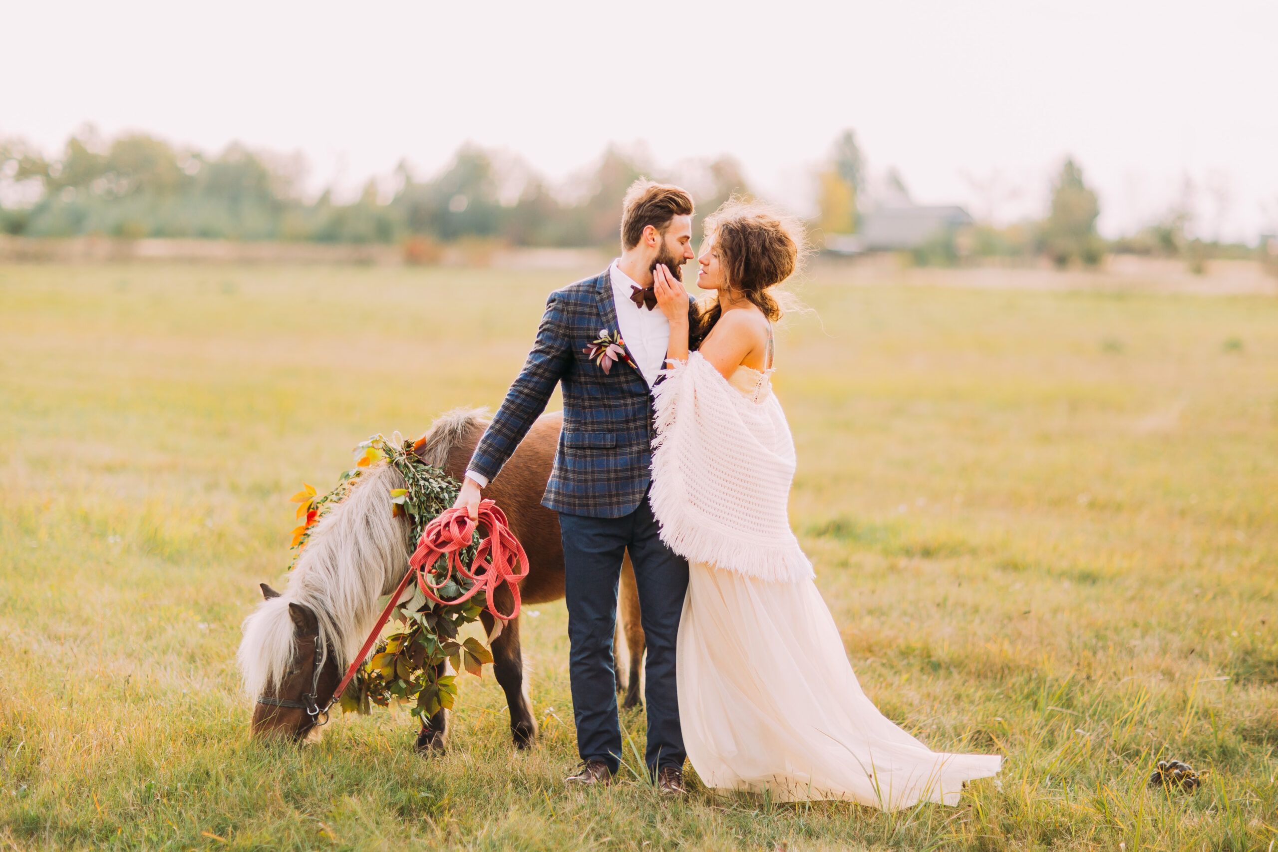 Lovely wedding couple with pony on the field