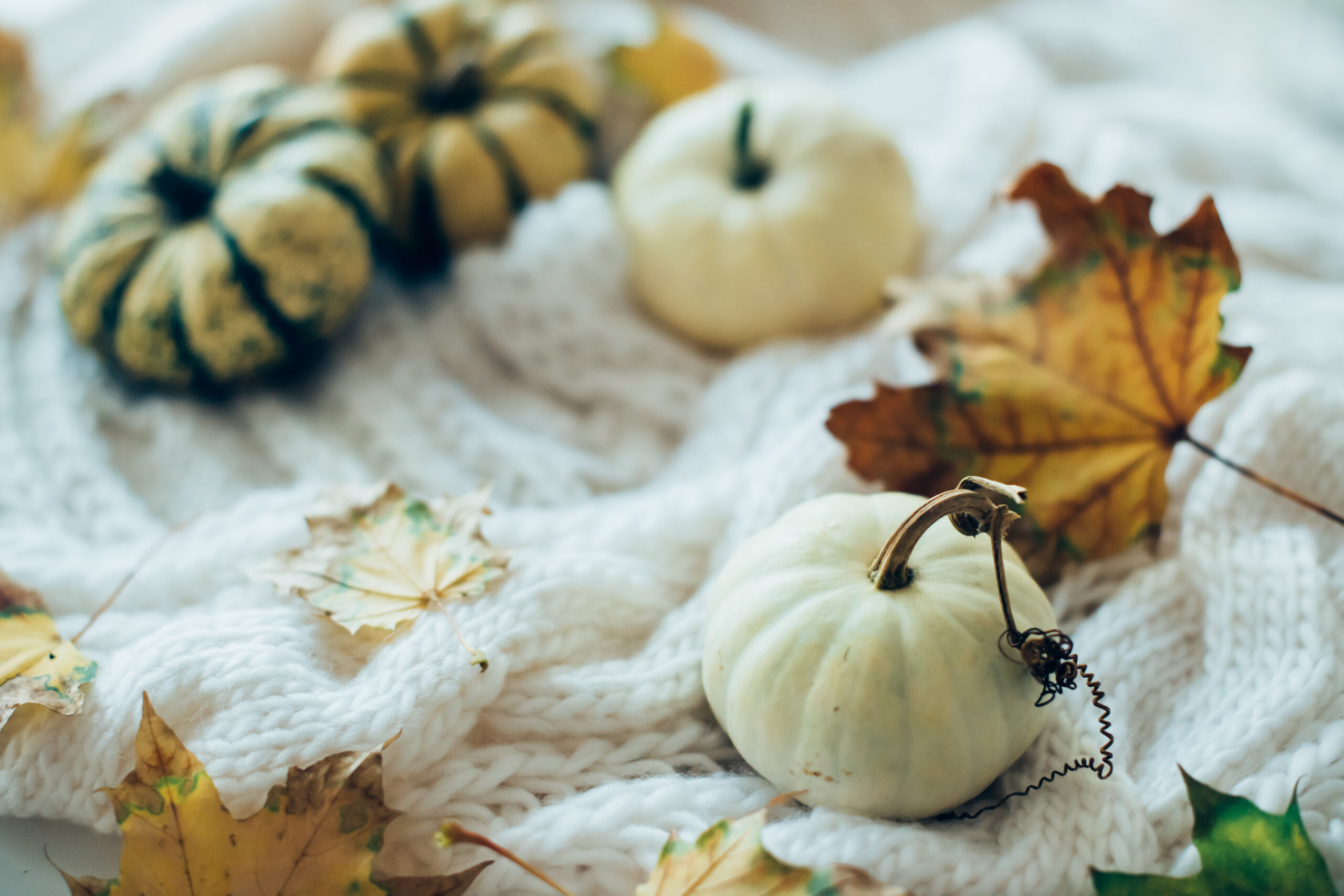 fall decor ideas