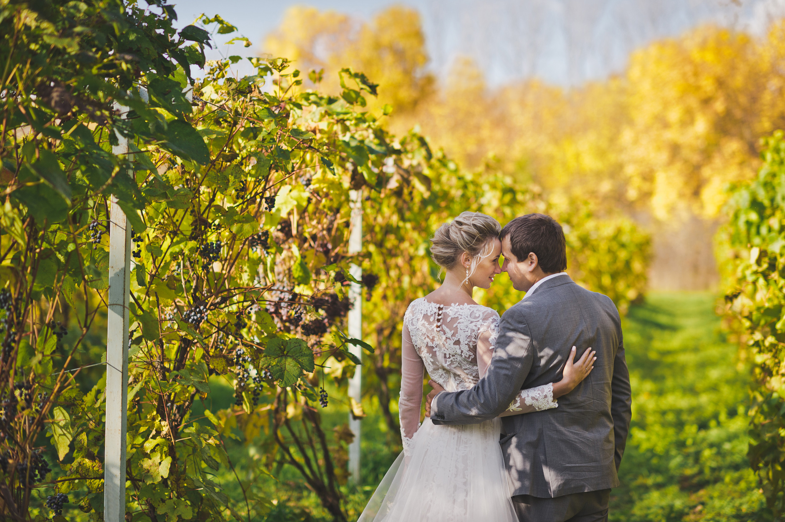 vineyard wedding